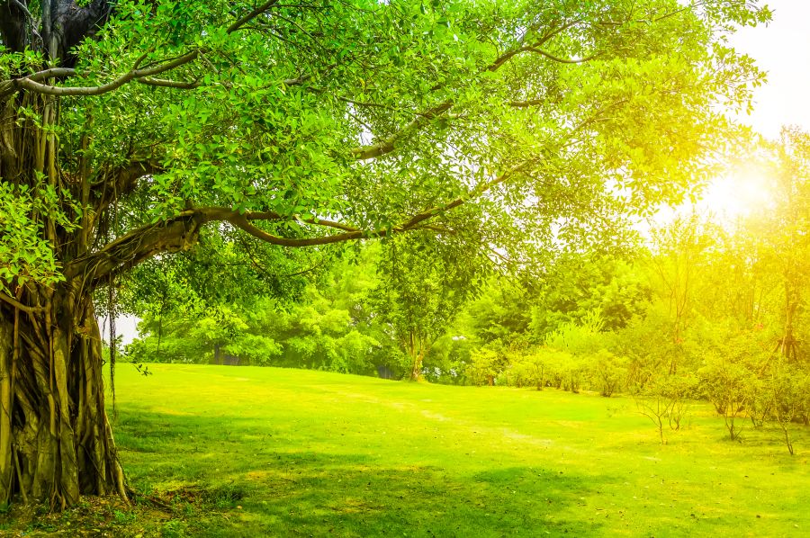 Картина на холсте Природа, арт hd1539401
